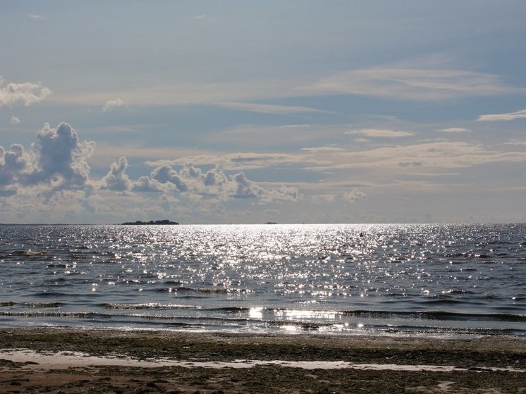 Власти Калининградской области планируют расширить официальный пляж в Пионерском