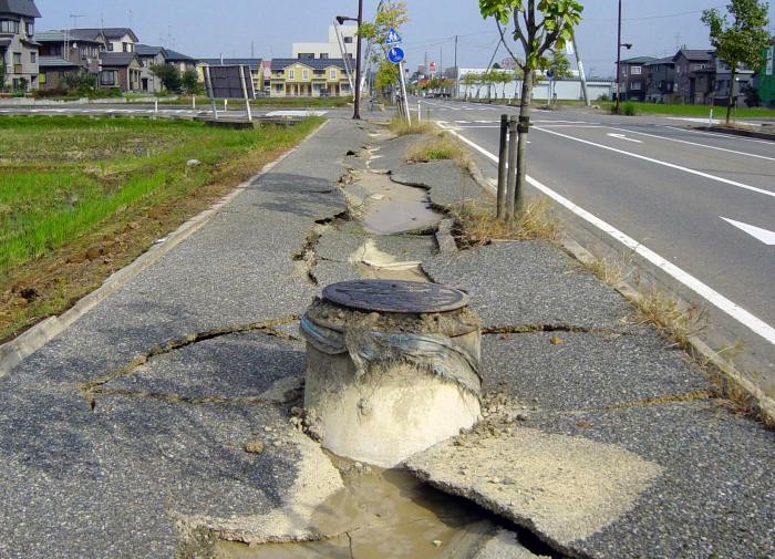 Сейсмолог Шебалин рассказал о вероятности землетрясения на Кубани после Алматы