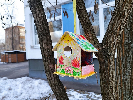  В экоцентр» Терлецкий» можно принести еду для птиц