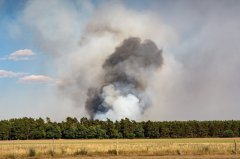 В Тамбовской области ввели запрет на разведение огня в лесах