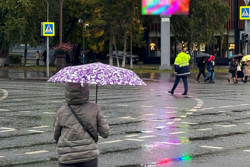 Дождь