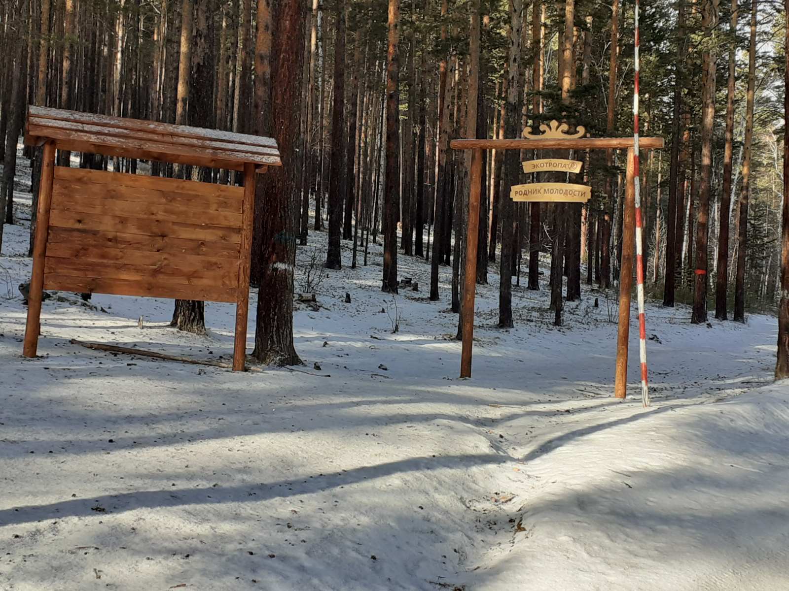 Родник глаз. Тропа здоровья Улан-Удэ верхняя Березовка. Серебряный ручей Улан-Удэ верхняя Березовка. Родник на верхней Березовке. Глазной источник Бурятия.