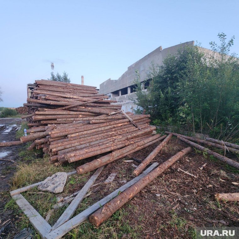 Бревна раскатились и смертельно травмировали детей