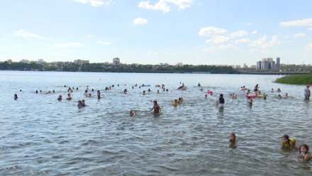 Санврачи забраковали три воронежских пляжа