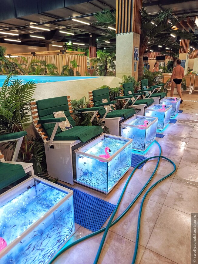 Развлечения в ноябрьском Петербурге