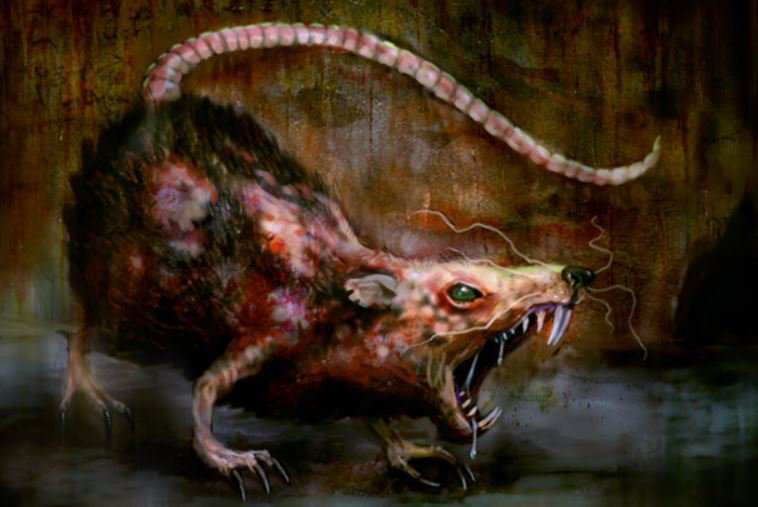 Эксперты предупреждают: в Британии крысы «размера с кошку» буквально убьют людей