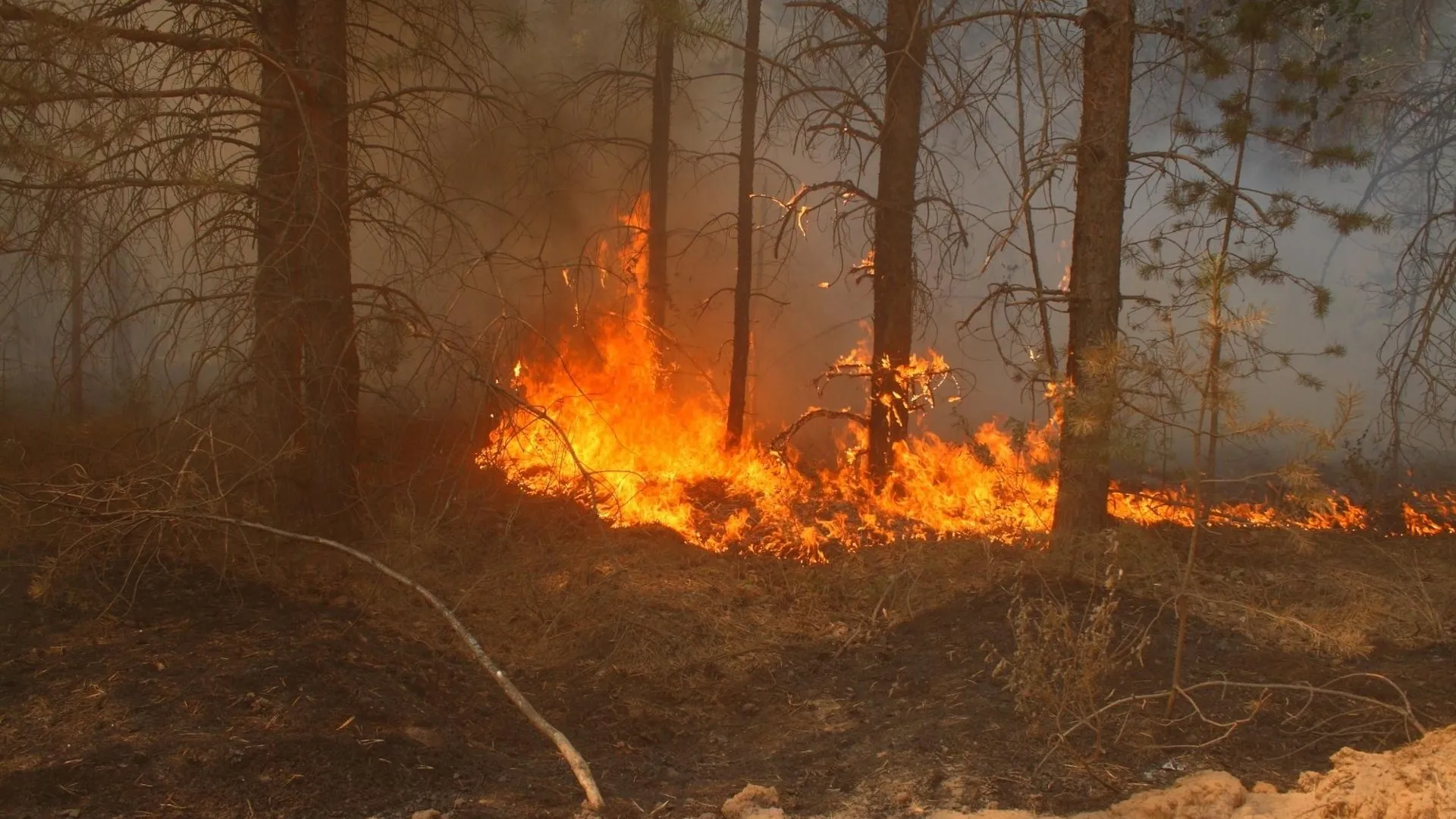 лесные и торфяные пожары. болотистой местности крупный природный пожар. лесные пожары. лесные и торфяные пожары. лесные и торфяные пожары.