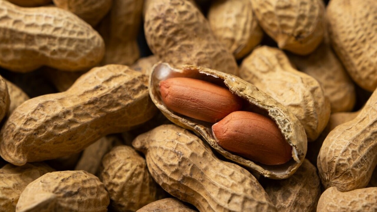 Всероссийский институт генетических ресурсов ра...