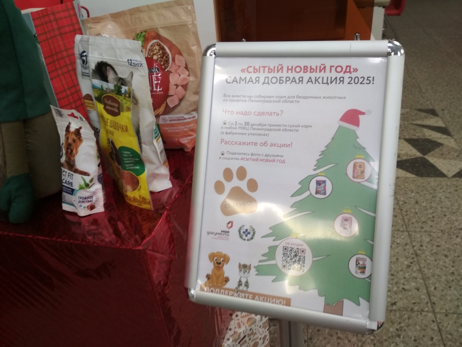 Акция «Сытый Новый год» поможет бездомным животным 