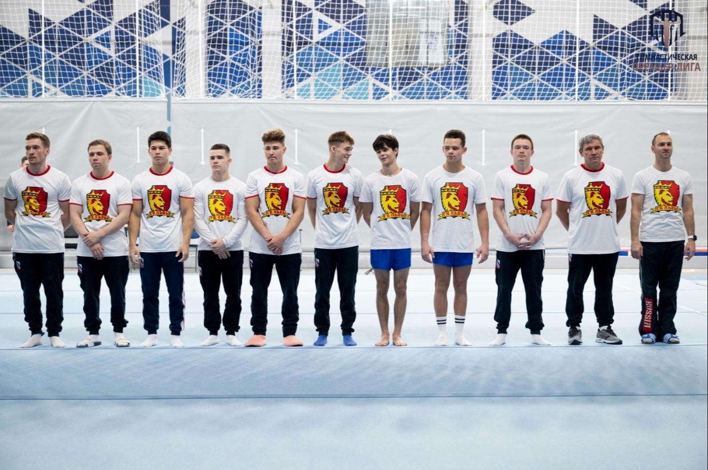 Сегодня «Львы» проведут домашнюю встречу плей-офф Гимнастической Премьер-Лиги