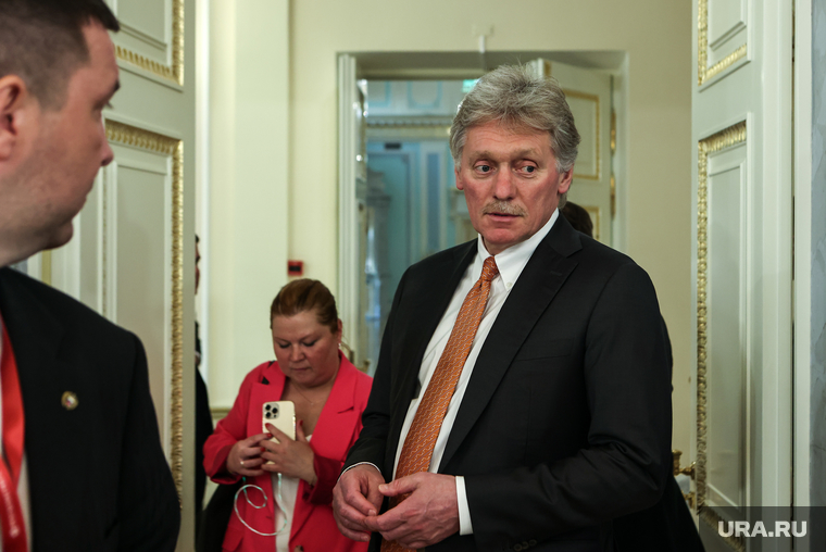 Администрация президента рф по культуре. Питер песков. Песков робсон. Питер песков. Песков 22 год.