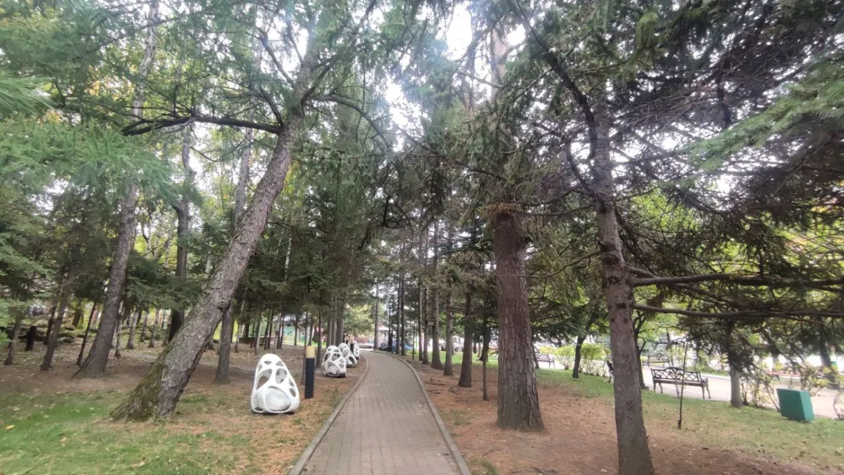 Температура в Хабаровске ниже нормы на несколько градусов