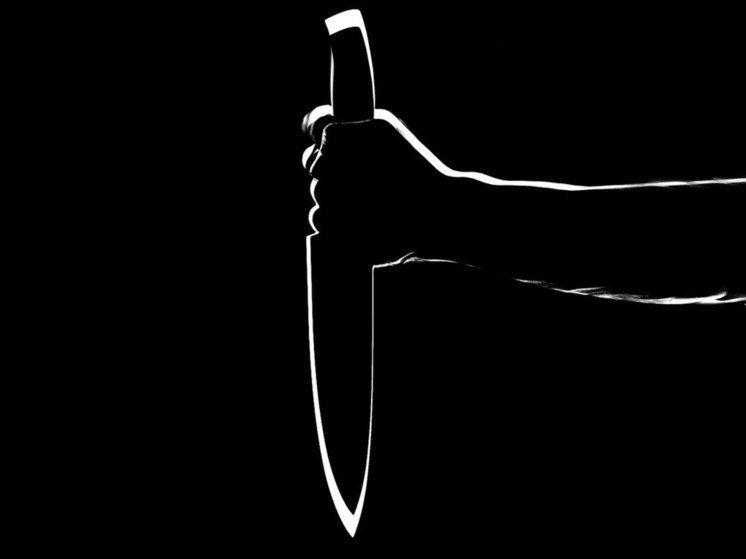 Пьяный внук искромсал ножом родных бабушку и дедушку и скрылся на их машине