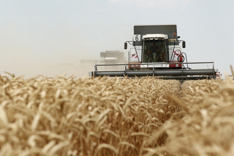 В Пензенской области получено 1005, 3 тыс. т зерна