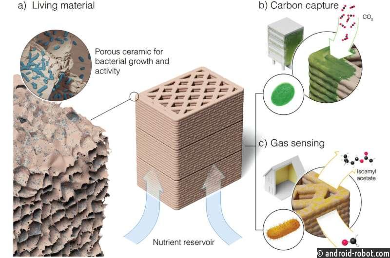 «Живая» керамика использует бактерии для обнаружения газа и улавливания углерода
