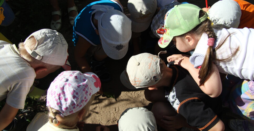 Дошкольные учреждения Новгородчины заполнены детьми на 81 процент