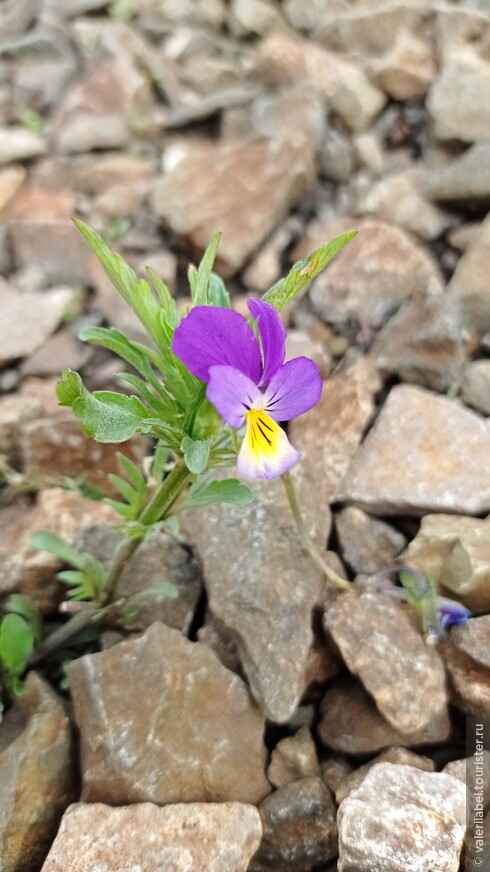 В Башкирию на майские. Часть 2 Побег от асфальта на Зубы Шурале
