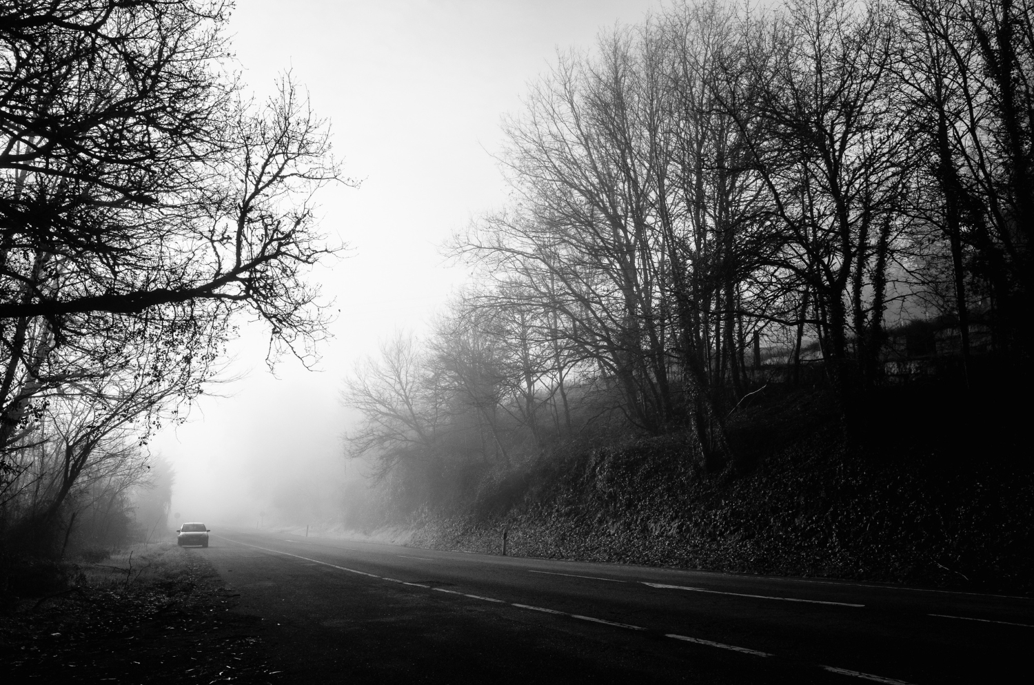 Strong fog. Strong fog
