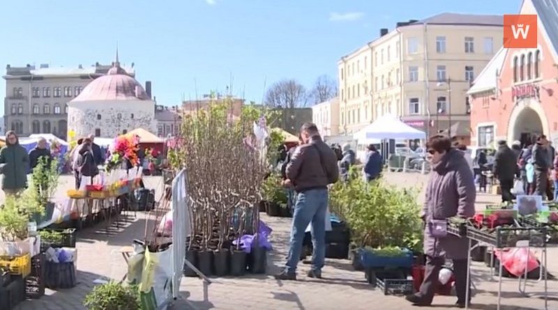 Выходные в выборге. Ярмарка на рыночной площади Выборг. Весенняя ярмарка Выборг 2023. Ярмарка на Комсомольской площади. Осенний рынок.