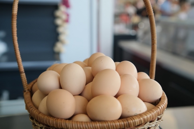 Волгоградская правда