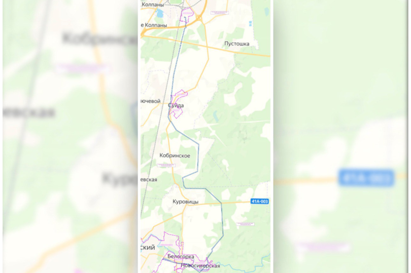 Утверждена документация по планировке территории для реконструкции ВЛ 110 кВ «Белогорская-2» в Гатчинском округе Ленобласти