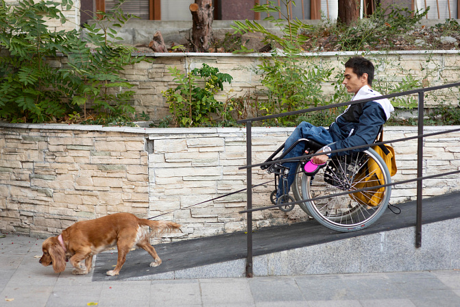 человек в инвалидном кресле гуляет с собакой