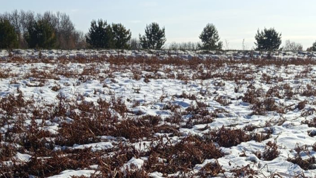 Фото: Ксения Литвинова