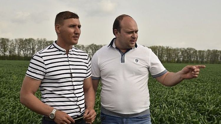 Кубань аграрная. Рентабельность превыше всего?