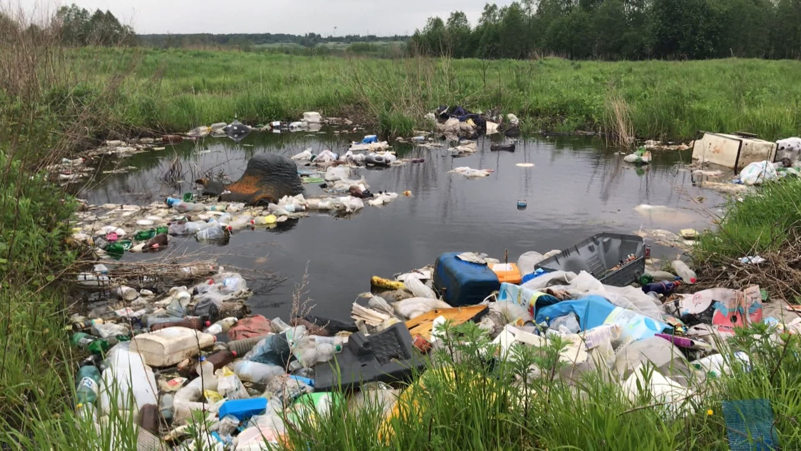 В лесах и полях на северо-востоке Костромской области нашли кучу свалок