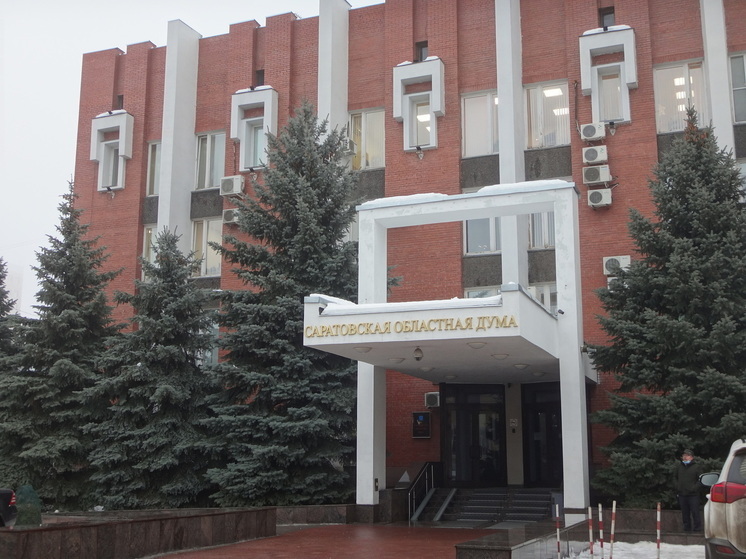 Молодежный парламент Саратовской области может получить право выдвигать закинициативы