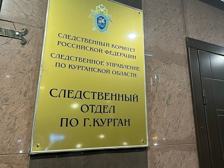 Бастрыкину доложат о расследовании дела по факту халатности в Кургане