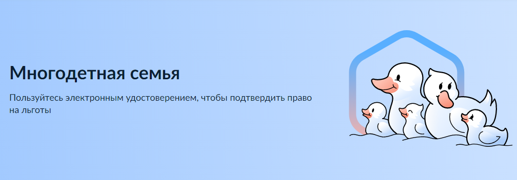 Во исполнение Указа Президента Российской Федерации от 23.01.2024 № 63