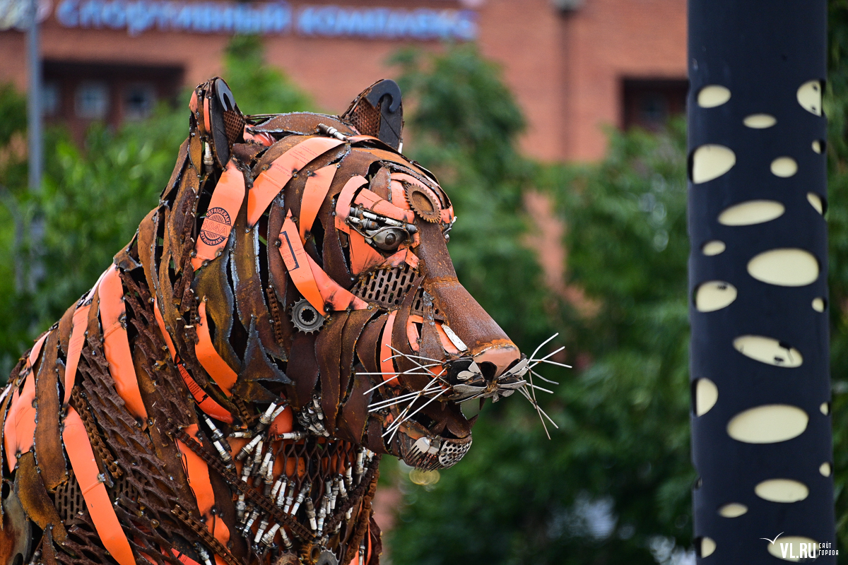 тигр в цирке. тигр из стали. международный день тигра. зоопарк кольморден тигр лежит на статуи будды. статуэтки из железа.