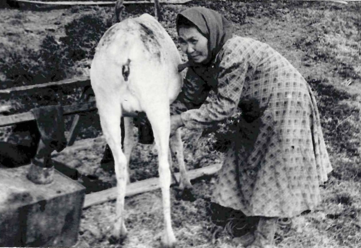 из личного архива Владимира Шейко
