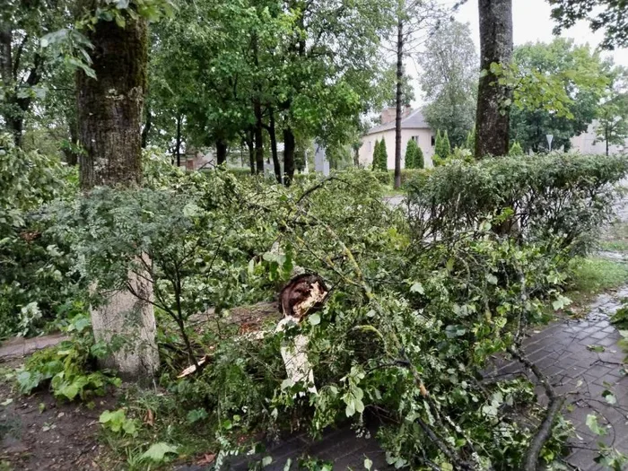 Фото: Леонид Курсенков