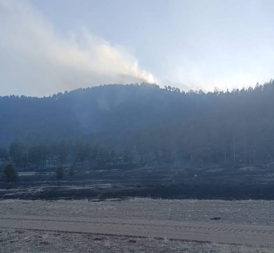 В Бурятии 11 человек тушат лесной пожар