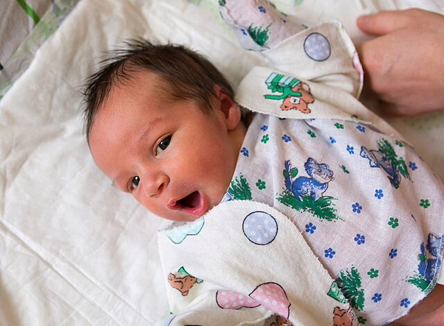 Фото: commons.wikimedia.org/Vyacheslav Argenberg/Creative Commons Attribution 4.0