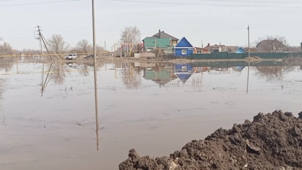 В Самарской области под водой остаются 36 домов и 422 участка
