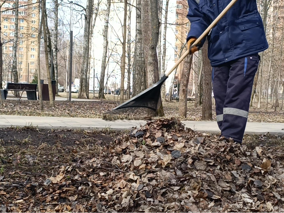 В лобненском парке «Река времени» убрали более сорока мешков палой листвы