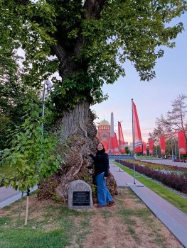 © СИФИБР СО РАН г. Иркутск