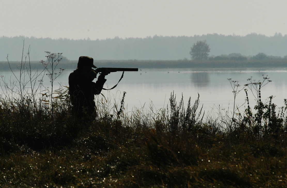 Hunt over. Охота летом. Охотник со спины. Охотники на природе. Весенняя охота.