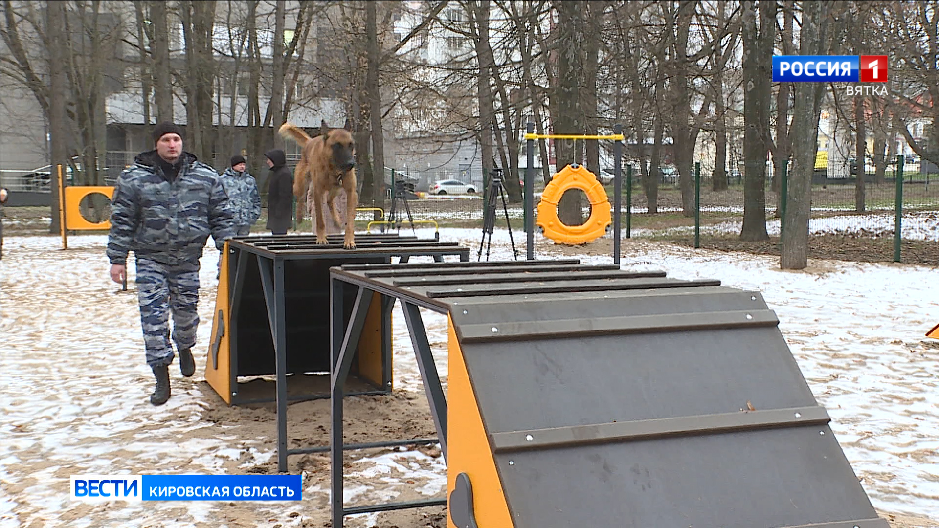 В парке имени Гагарина открылась площадка для выгула собак