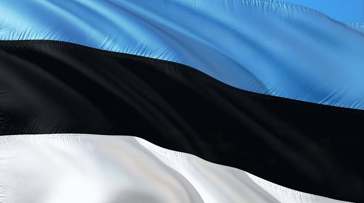 Эстония угрожает нанести удар по России в случае вооруженного конфликта