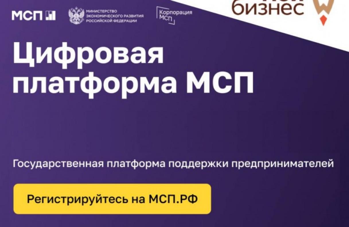 Государственная платформа. Цифровая платформа МСП.РФ. Цифровая платформа корпорации МСП. Цифровая платформа МСП логотип. МСП РФ.