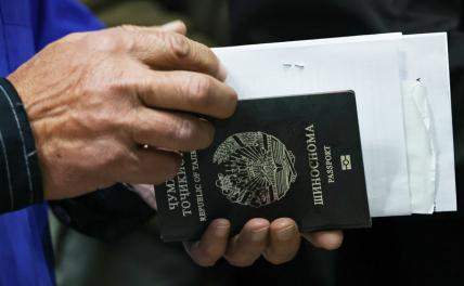 МВД: На 40% увеличилось количество фактов подделки миграционных документов