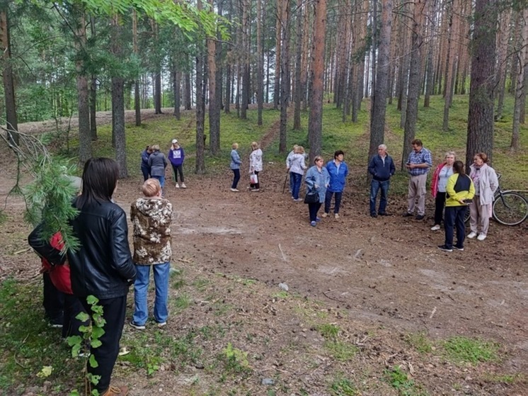 Жители села в Карелии возмущены выдачей участков в бору под застройку