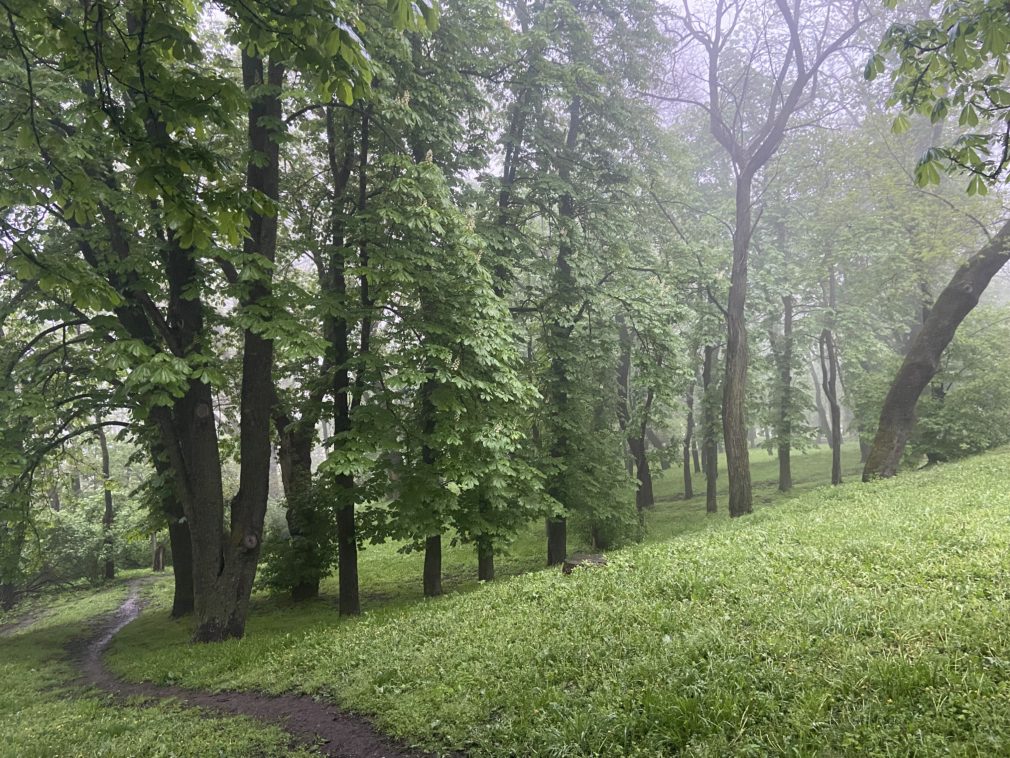 Леса в Железноводске