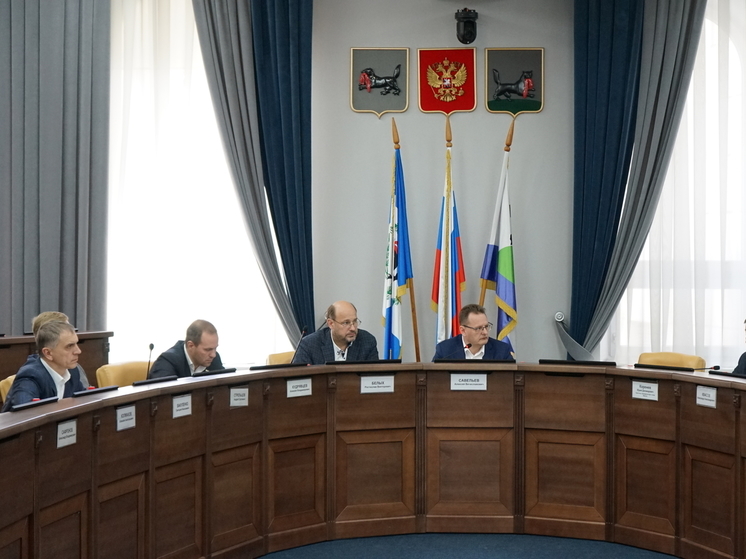 Изменения в профильную программу утвердила комиссия думы Иркутска по транспорту