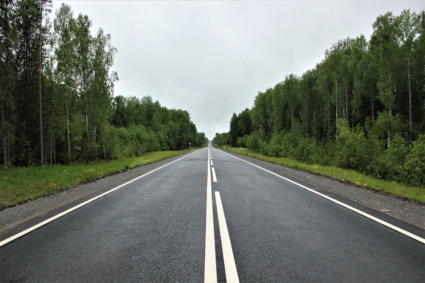 Автодорога. Загородная дорога. Идеальная дорога. Ровные дороги. Дорога Россия.