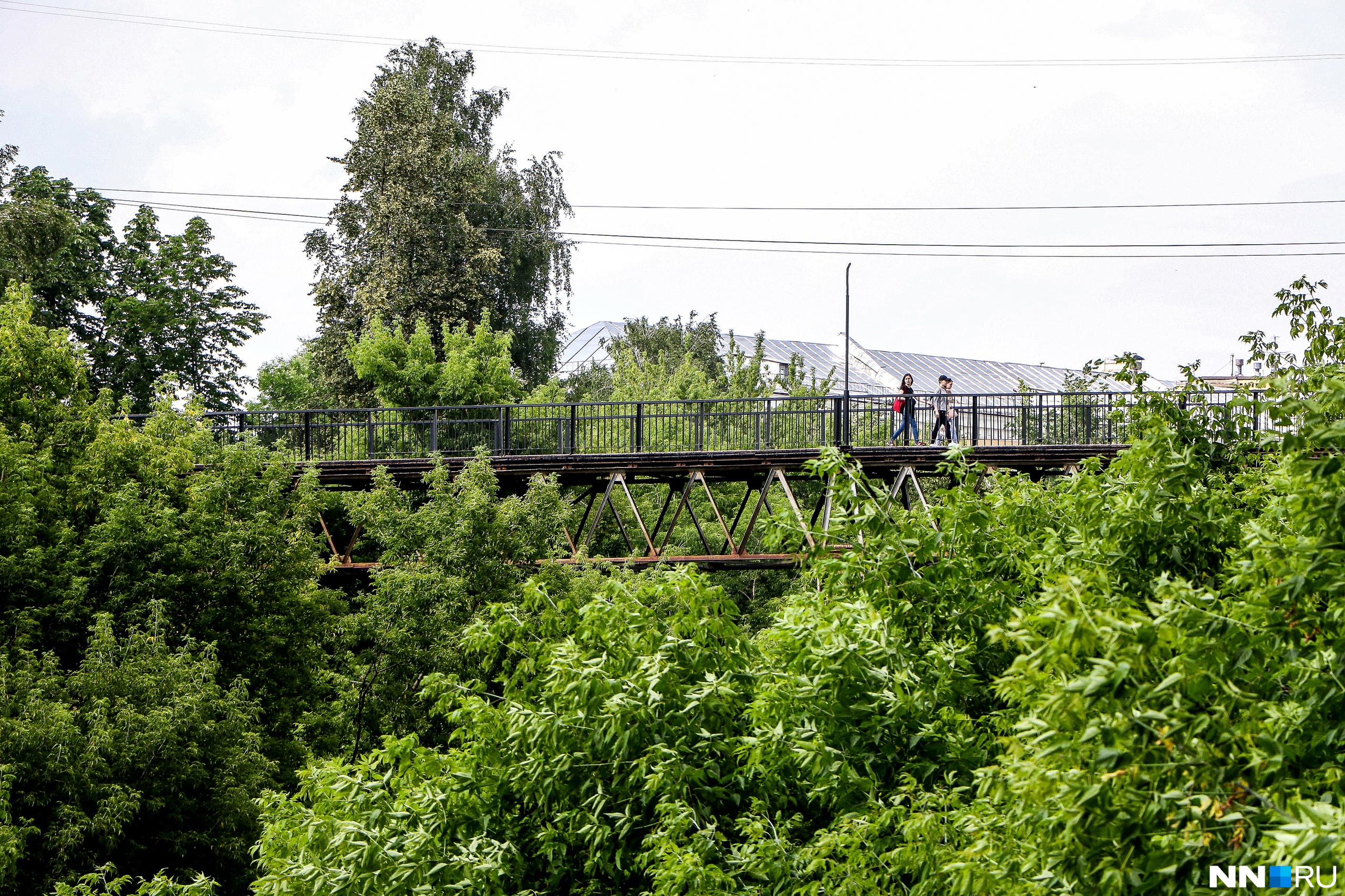 Террасный парк в почаинском овраге. Почаинский овраг Нижний Новгород благоустройство. Террасный парк. Террасный парк Нижний. Почаинский сквер Нижний Новгород.